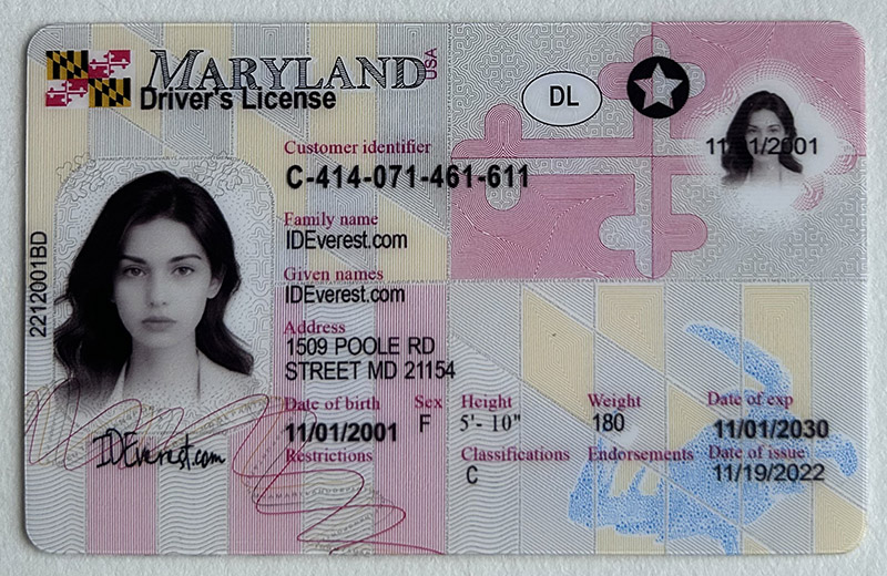 Unleash the Maryland Dream: Elevate Your Experience with ideverest's Premium Fake IDs