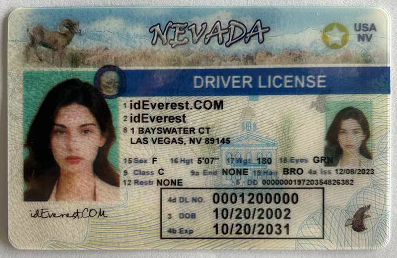 Nevada Fake ID