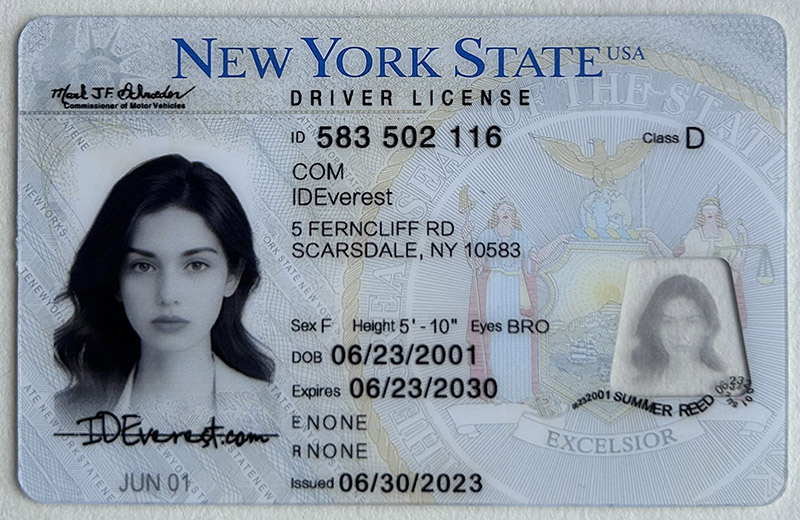 NY Fake ID Card