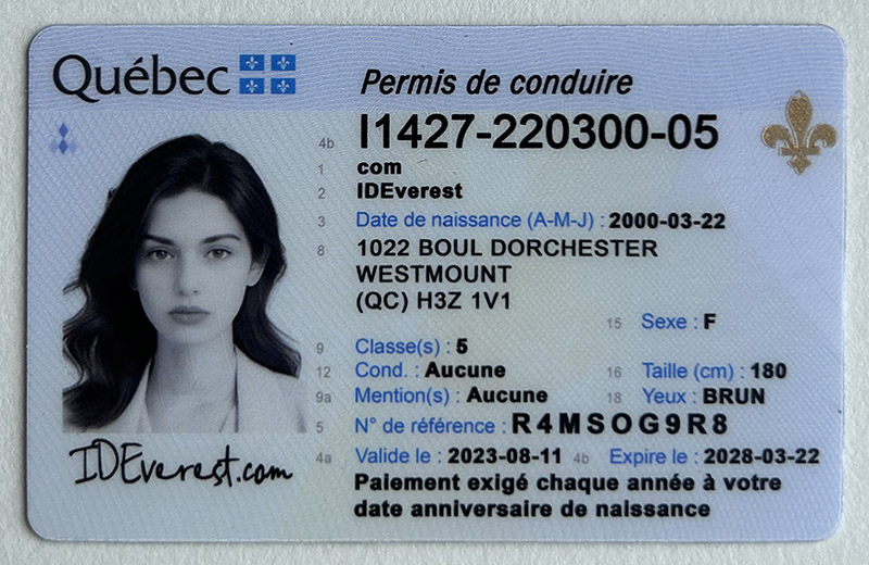 Authentic scannable Québec fake ID card