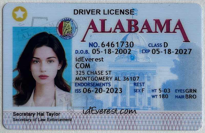 Positive Impacts of Fake IDs on American Teens Identity Verification and Privacy Protection